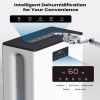 BIZEWO Dehumidifier for Home,Queit Dehumidifiers for Basement, Bathroom, Bedroom with 101oz Water Tank, Large Room Dehumidifier with 2 Working Mode